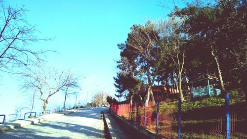 Empty road along trees