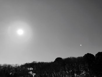 Low angle view of trees against clear sky