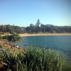 Scenic view of lake against clear sky