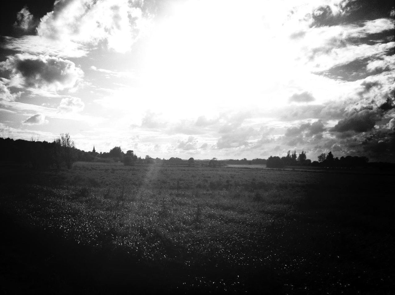 landscape, field, sky, tranquil scene, tranquility, scenics, beauty in nature, cloud - sky, nature, rural scene, grass, sunlight, tree, cloud, silhouette, grassy, sunbeam, horizon over land, non-urban scene, agriculture