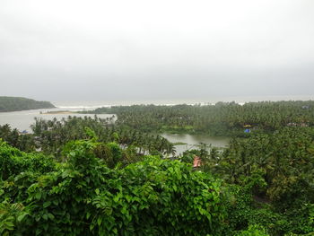 High angle view of plants by lake against sky