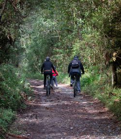 Rear view of man riding bicycle on footpath in forest