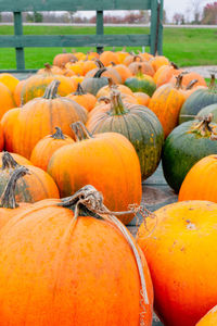 Stack of pumpkins in market