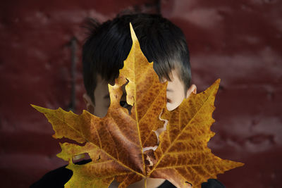 Close-up of boy holding autumn leaf 