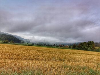 Scenic view of agricultural field against sky