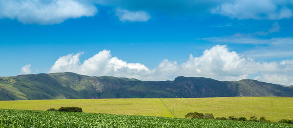 Scenic view of field against sky