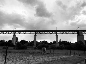 People standing on bridge against sky