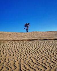 Scenic view of desert against clear blue sky