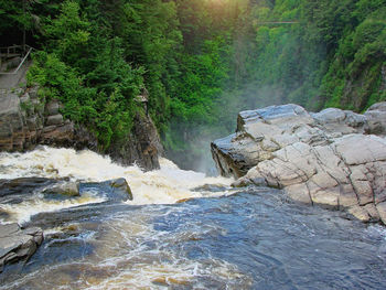 Stream flowing through rocks in forest