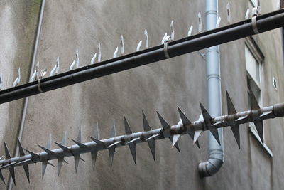 Close-up of barbed wire