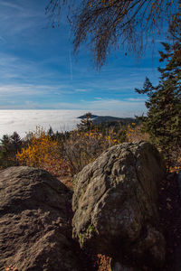 Scenic view of landscape against blue sky