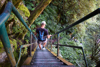 Rear view of man on footbridge in forest