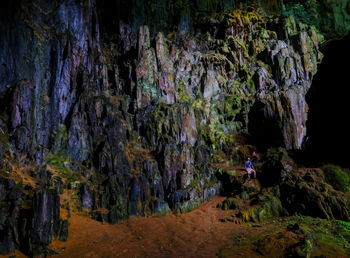 Panoramic view of rocks in forest