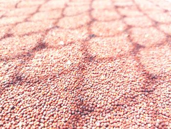 Full frame shot of carpet