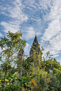 Low angle view of trees and building against sky