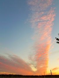 Silhouette of trees against sky during sunset