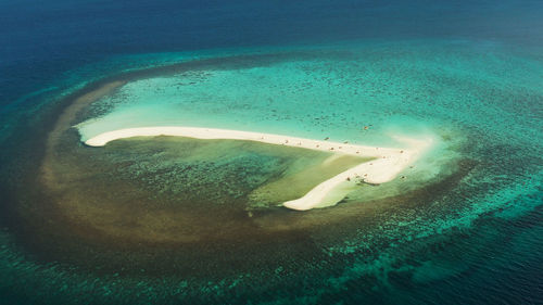 High angle view of swimming underwater