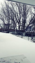 Bare trees in snow covered landscape