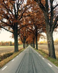 Empty road with trees in background