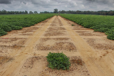 Scenic view of field against cloudy sky