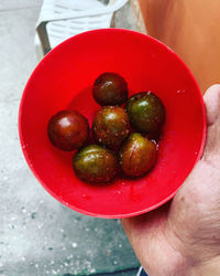 Close-up of hand holding fruit