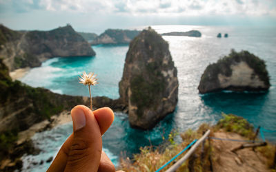 Cropped hand holding flower against sea