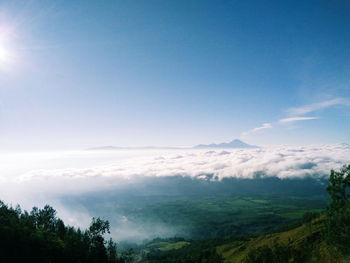 Scenic view of forest against sky