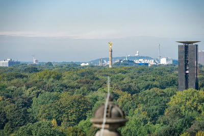 View of trees and plants in city