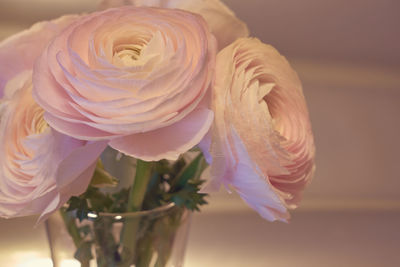 Close-up of pink rose in vase