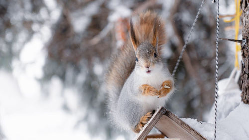 winter