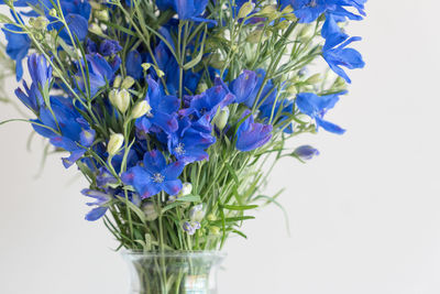 Close-up of purple flower vase against white background