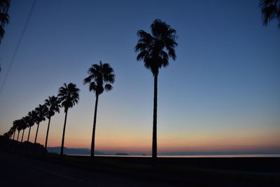 Silhouette palm trees against clear sky during sunset