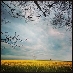 Scenic view of field against cloudy sky