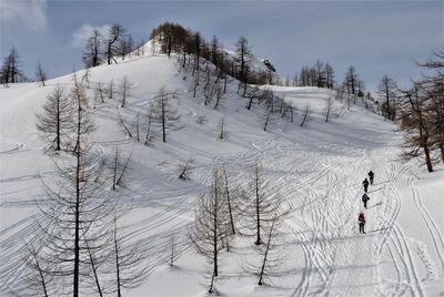 People skiing on snow covered land