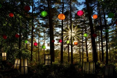 Low angle view of lanterns hanging on tree