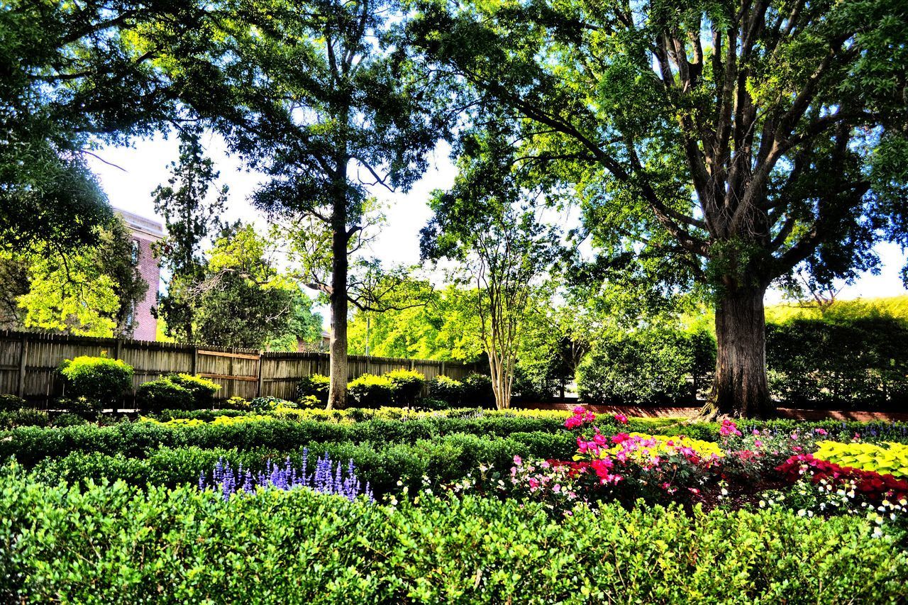 FLOWERS IN PARK