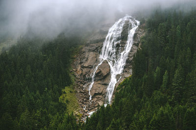 Scenic view of waterfall in forest