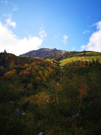 Scenic view of landscape against sky during autumn