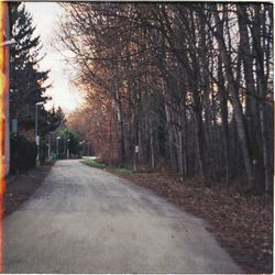 Road amidst trees in forest