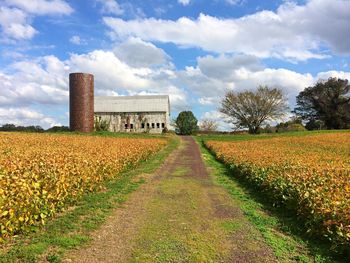 Barn on agricultural field against sky