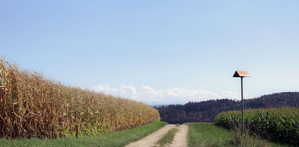 Road amidst field against sky