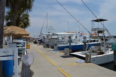 Boats in harbor