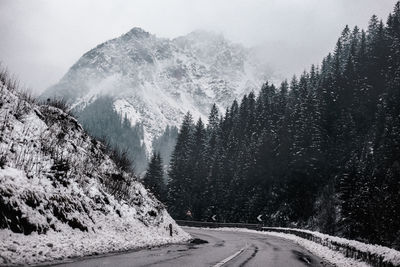 Snow covered road amidst trees against sky