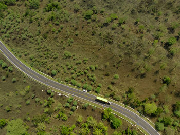 Aerial shot of road between the forests in national park situbondo, east java