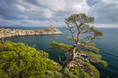 Novyi svit, crimea, sudak. cape named kapchik, sea is black sea. 