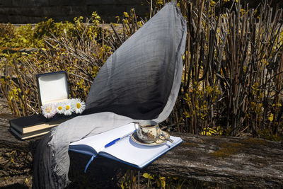 Close-up of camera on table by tree on field