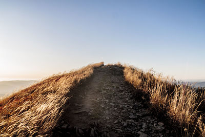 Footpath leading towards sea against clear sky