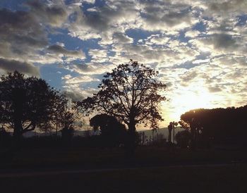 Silhouette trees against sky during sunset