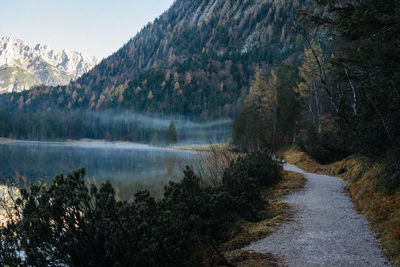 Scenic view of lake in forest against sky