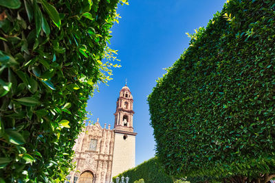 Low angle view of trees and building against sky